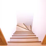 Huge Japanese House - Shibuya 22 Min Direct Train 山手線大塚站走路10分鐘，電車到池袋只要3分鐘，新宿12分鐘，日式獨棟民家風超級大大大房子！